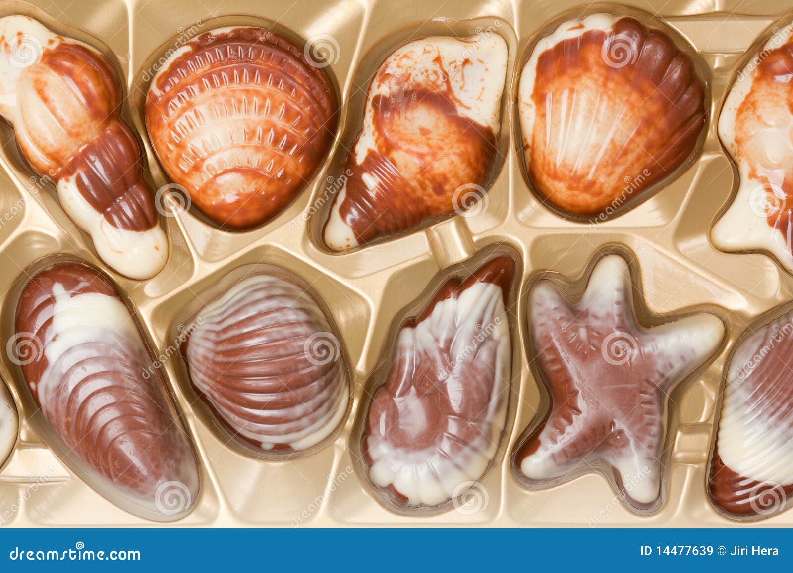 Chocolate seashells stock image. Image of romantic, dessert 14477639