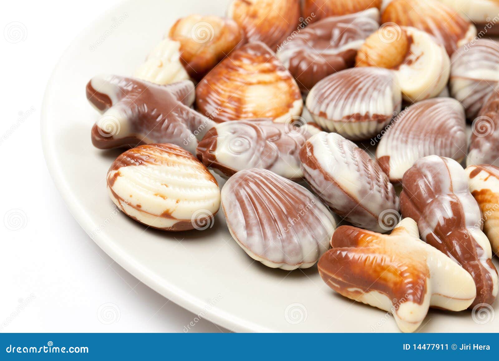 Chocolate seashells stock image. Image of nutrition, life 14477911