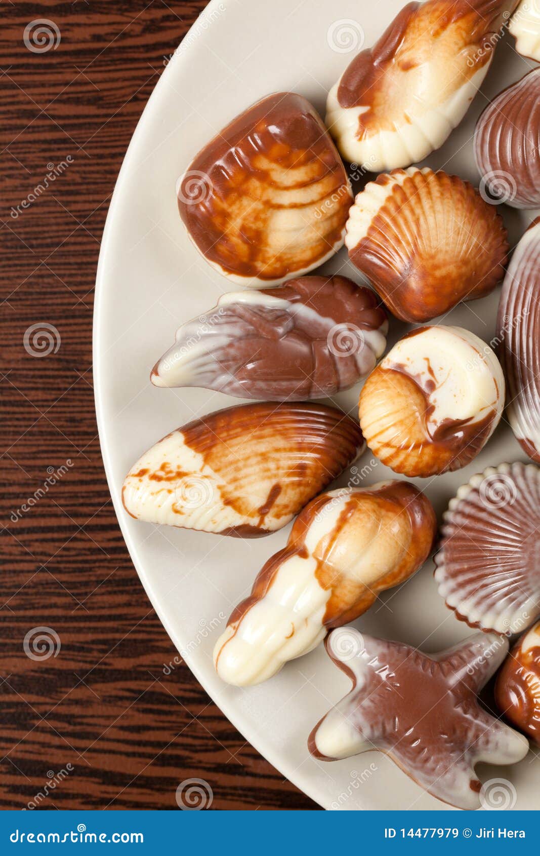 Chocolate seashells stock image. Image of chocolate, gift 14477979