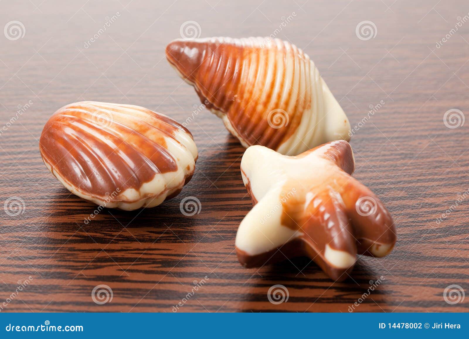 Chocolate seashells stock photo. Image of cocoa, romantic 14478002
