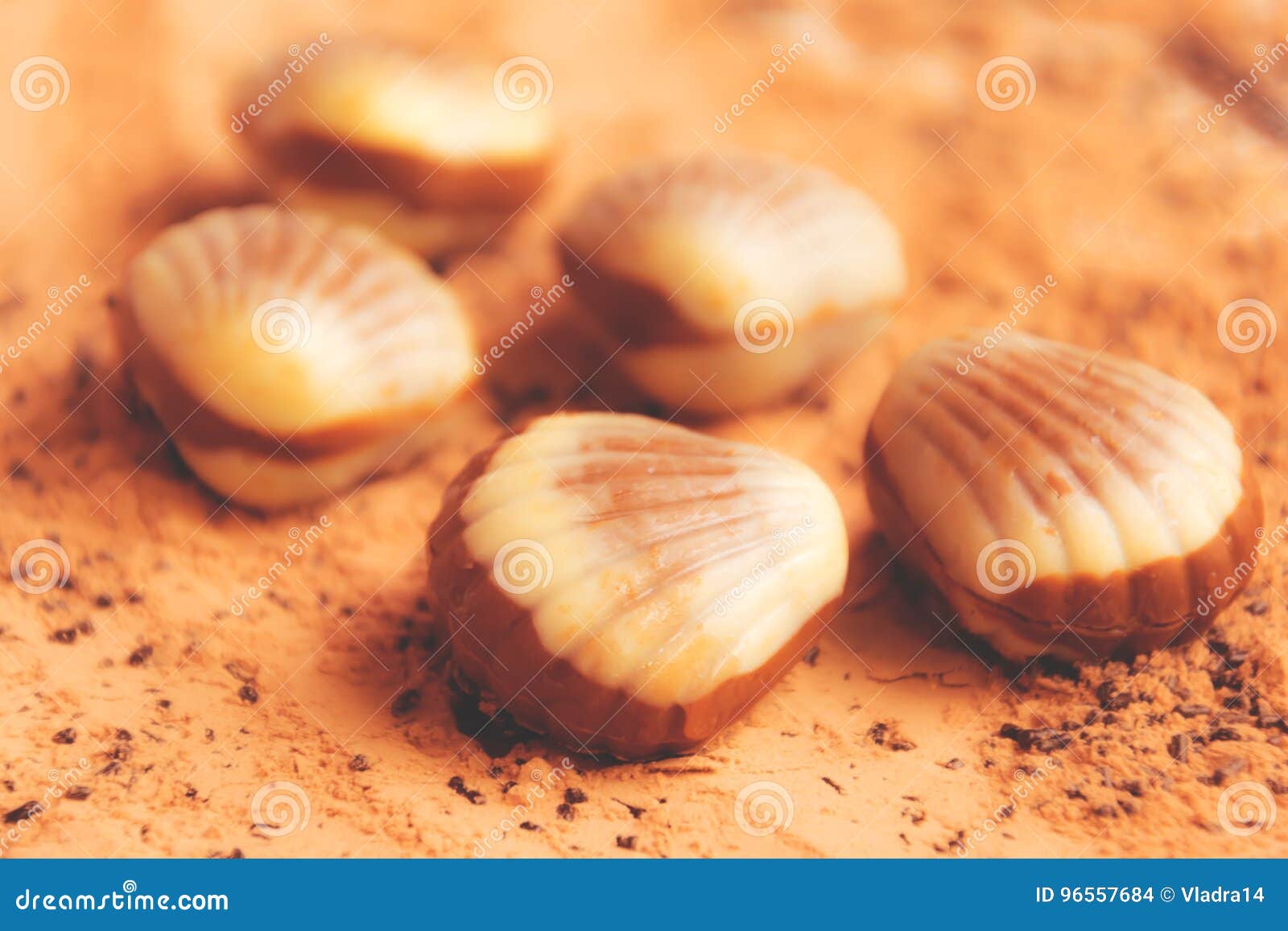 Cocoa Beach Shells Stock Photos - Free \u0026 Royalty-Free Stock Photos from  Dreamstime, image size:1600x1157