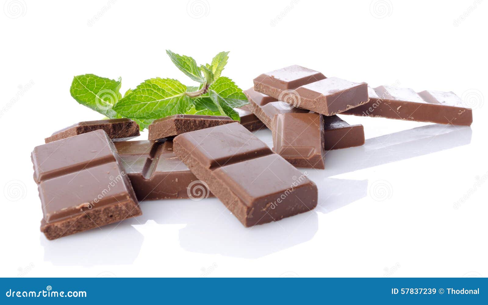 Chocolate Squares with Fresh Mint Stock Image Image of temptation