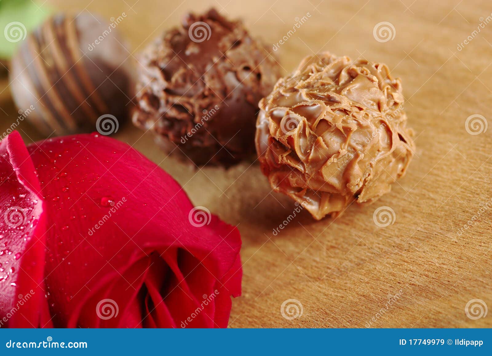 Chocolate Truffles with a Red Rose Stock Image Image of petal, wood