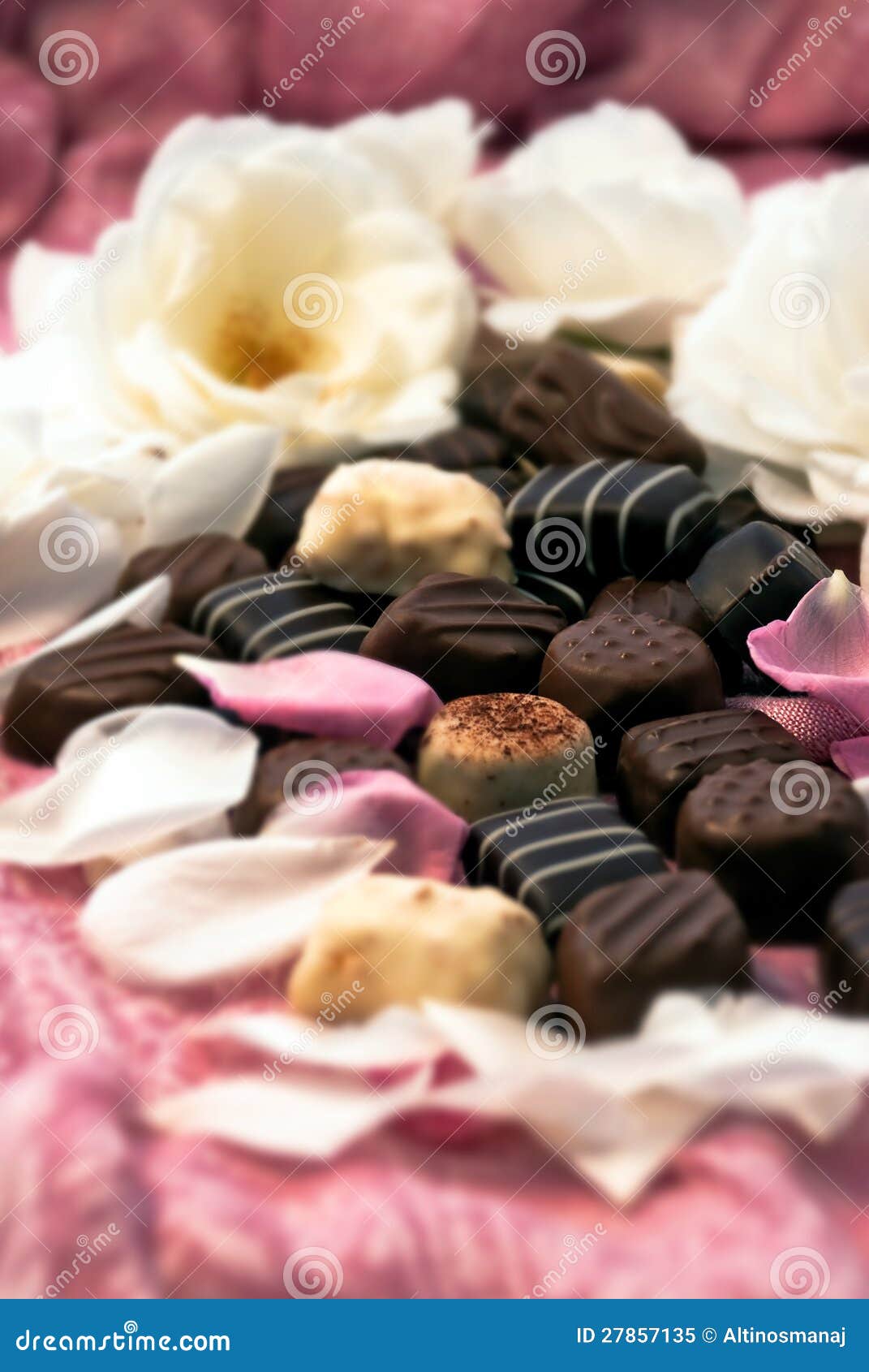 Chocolate Truffles and Rose Petals 02 Stock Image Image of dark