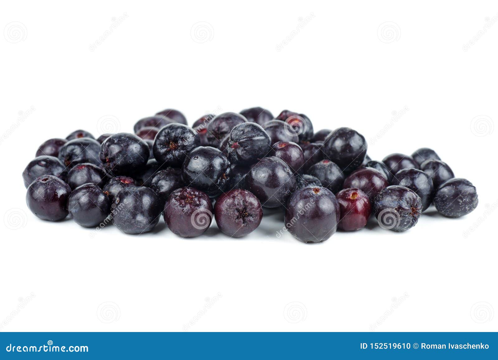 chokeberries  on white background