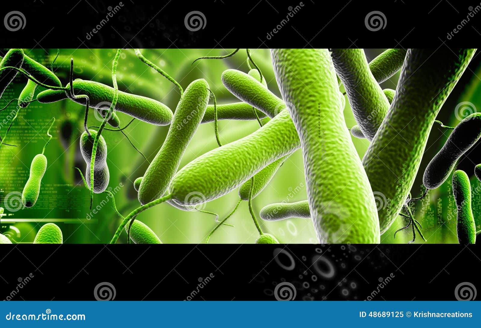 Cholera bacteria stock illustration. Illustration of blood 48689125