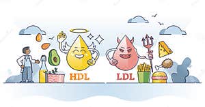 Cholesterol HDL Vs LDL Character Comparison With Food Example Outline Concept Stock Vector