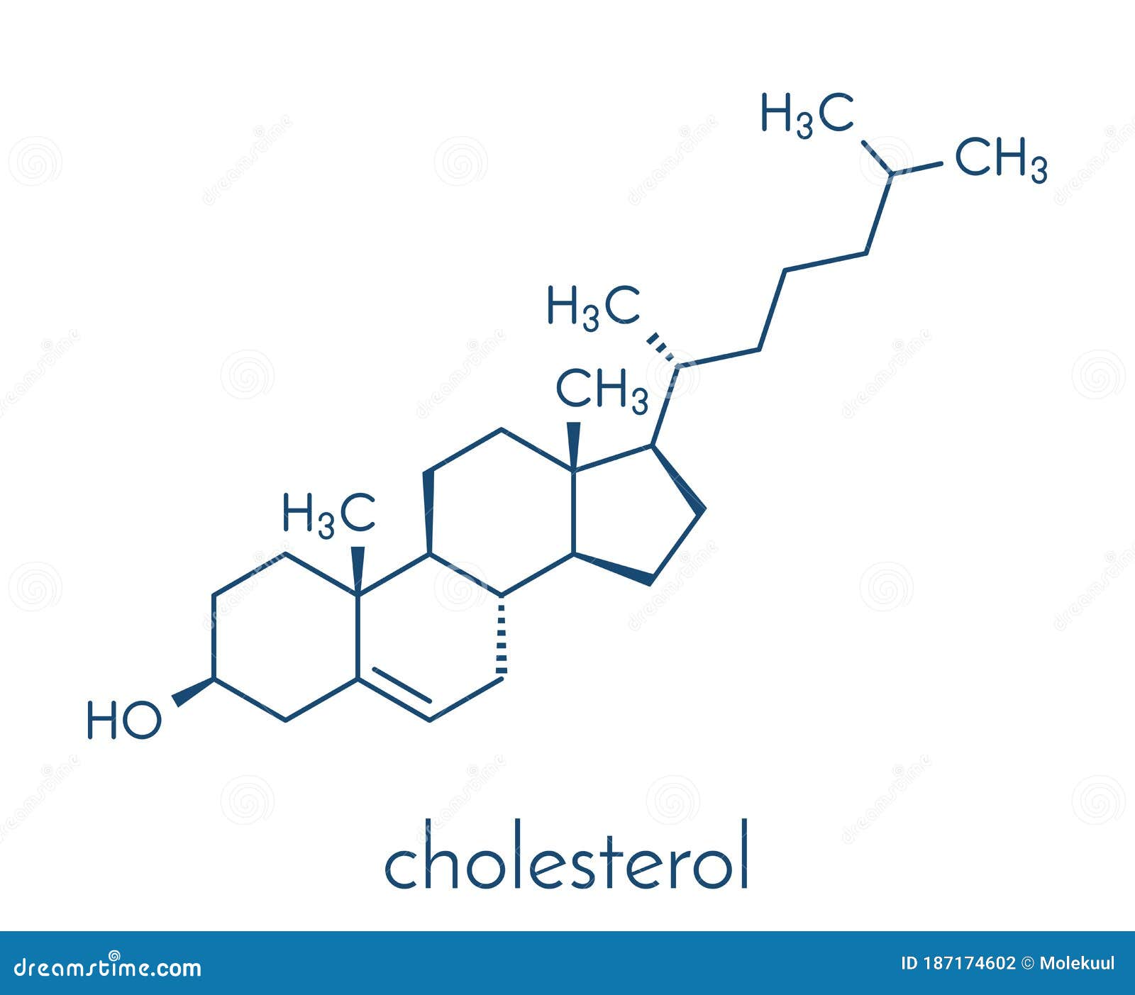 can steroids cause hair loss For Dollars Seminar