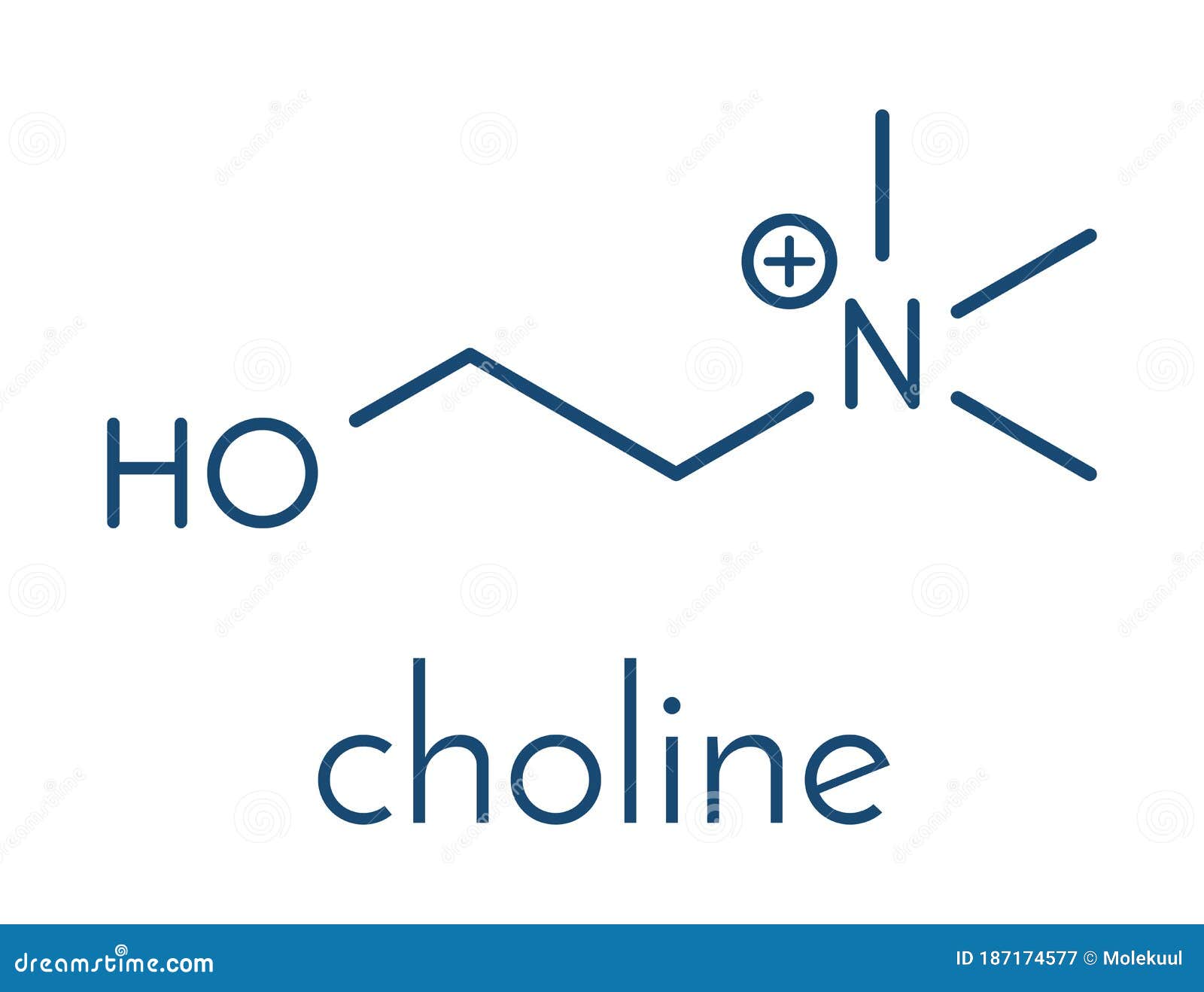 Choline Molecule, Structural Chemical Formula, Ball-and-stick Model ...
