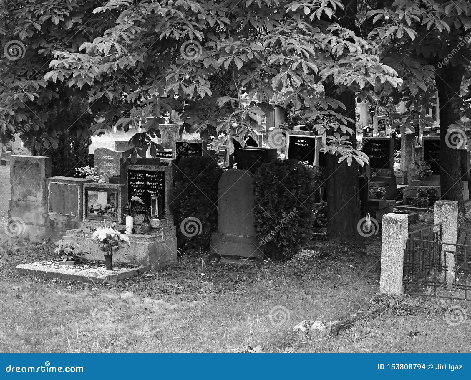 Chomutov, Czech Republic - July 15, 2019: Graves between Trees Under ...