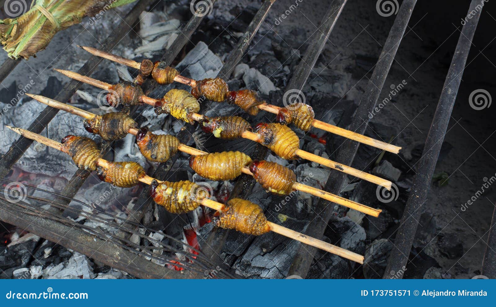 Chontacuros Ou Mayones Torravam Vermes Em Uma Grelha Com Pedaços