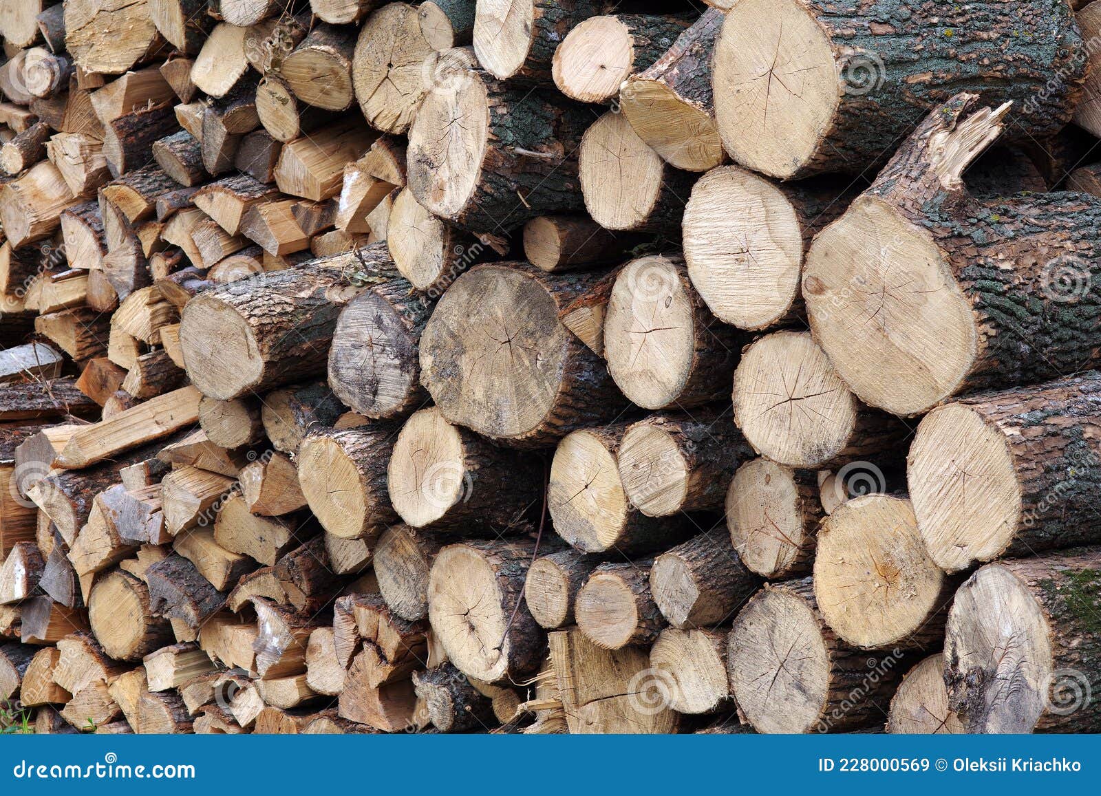 Chopped Firewood of Fruit Trees. Pile of Stacked Firewood Texture Stock