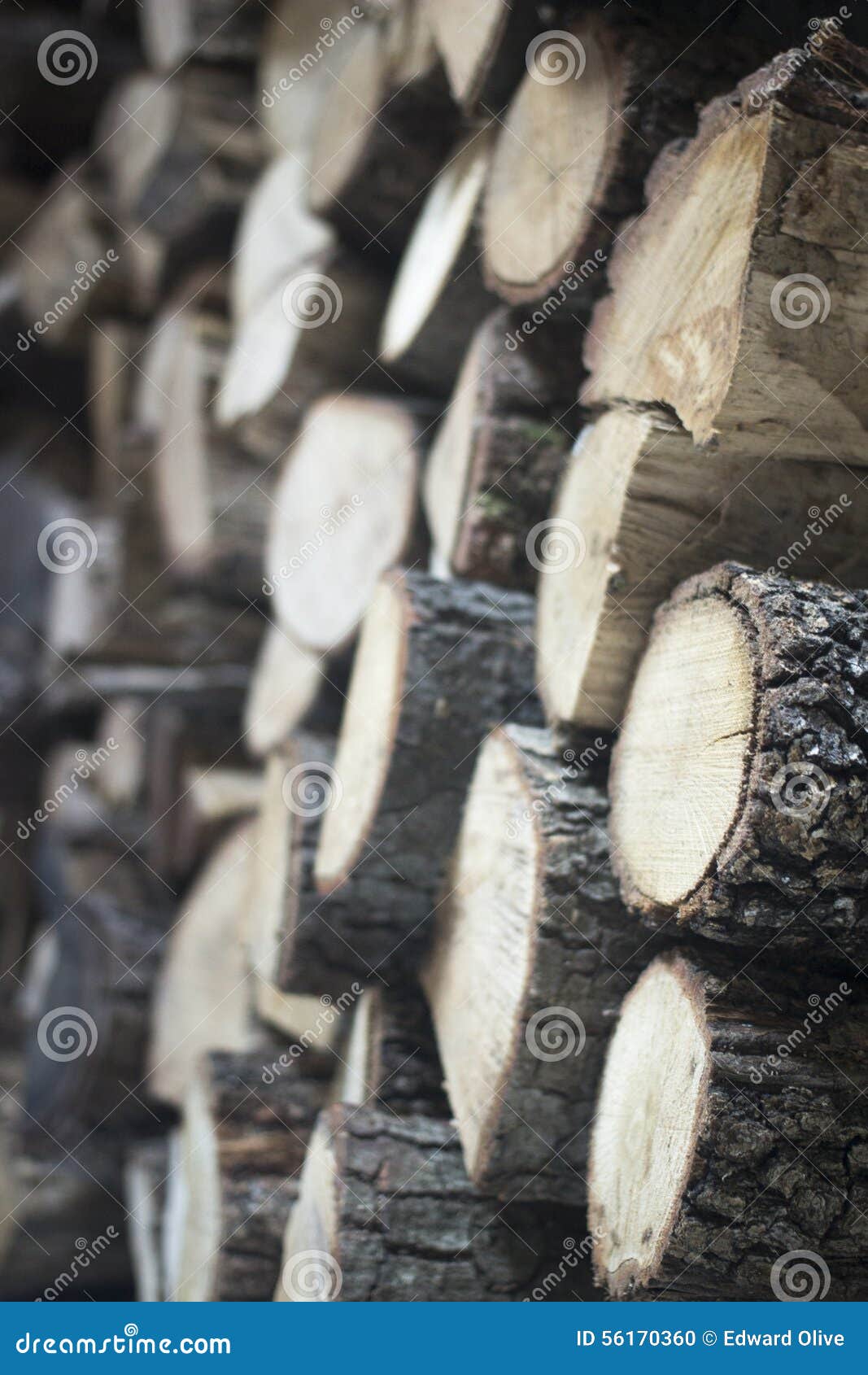 chopped firewood for house fireplace