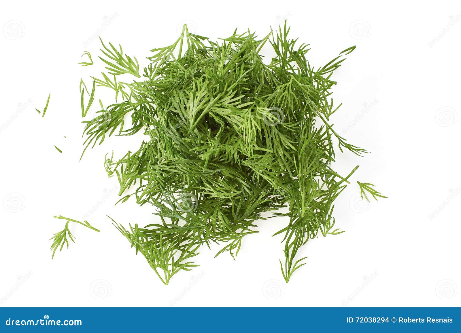 Chopped Fresh Dill on White Stock Photo Image of cook, branch 72038294