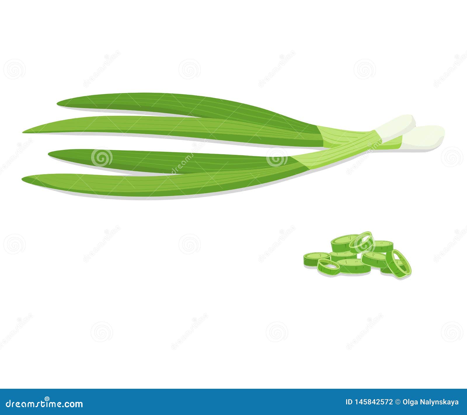 Chopped Fresh Green Onions stock vector. Illustration of diced 145842572