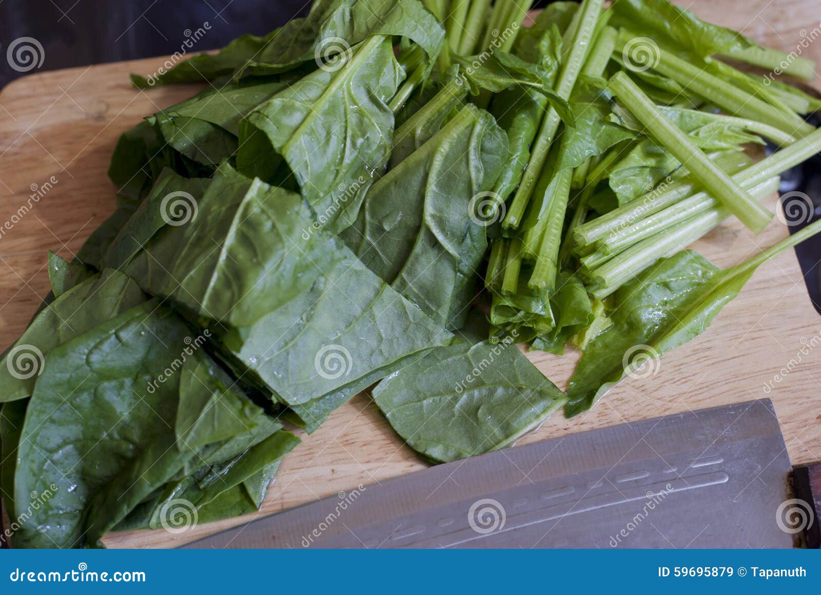 Chopped Fresh Spinach stock image. Image of cook, nutrition 59695879