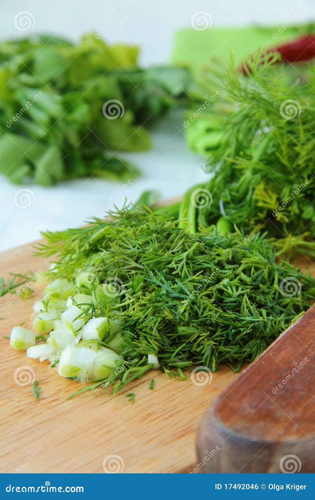 Chopped green onions dill stock photo. Image of food 17492046