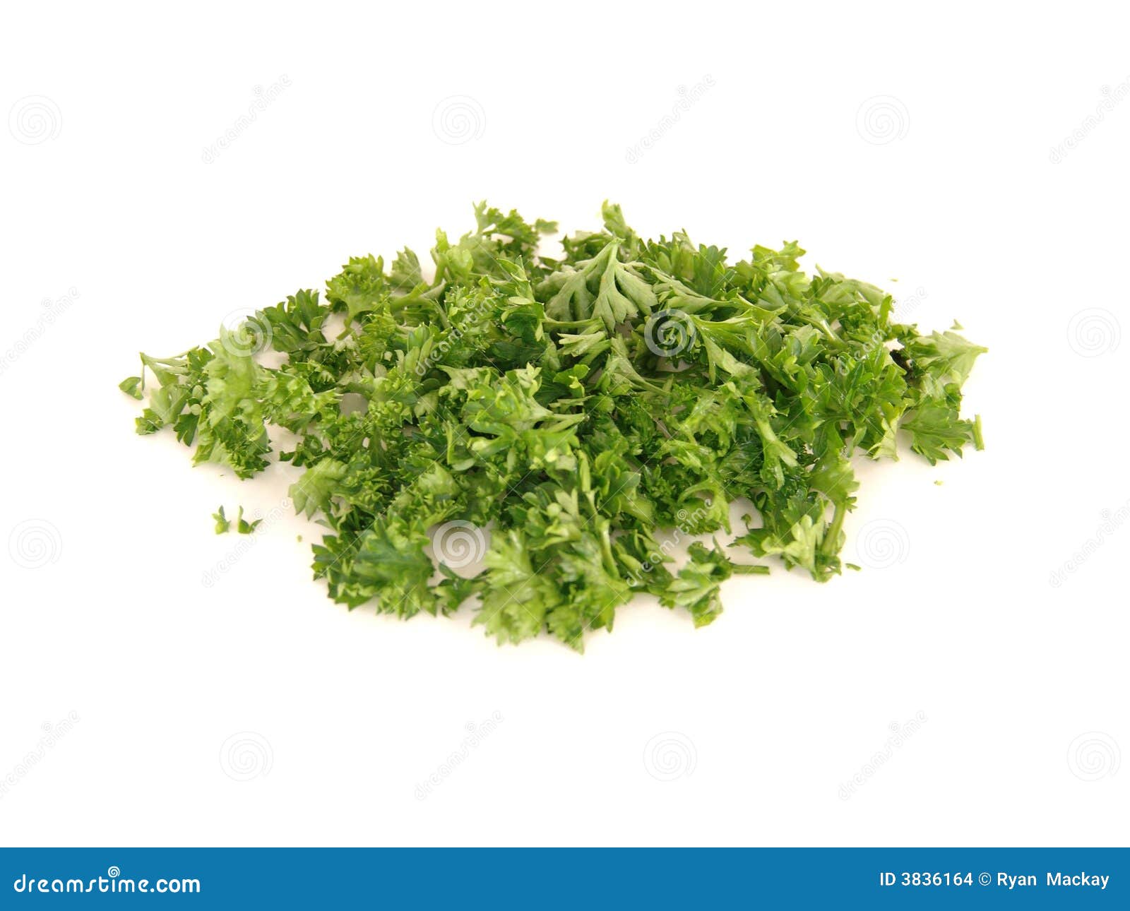 Chopped parsley stock photo. Image of cuisine, cooking 3836164