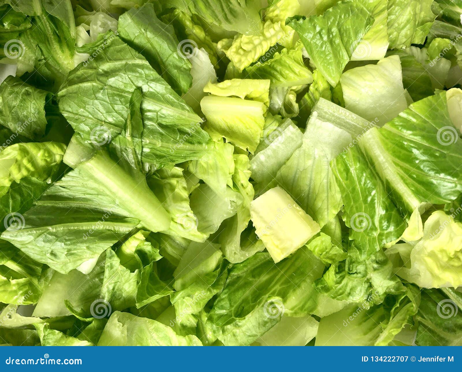 Chopped romaine lettuce stock image. Image of leaves 134222707