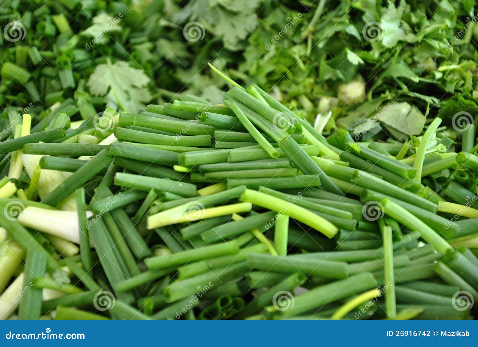 Chopped scallions stock photo. Image of gourmet, group 25916742