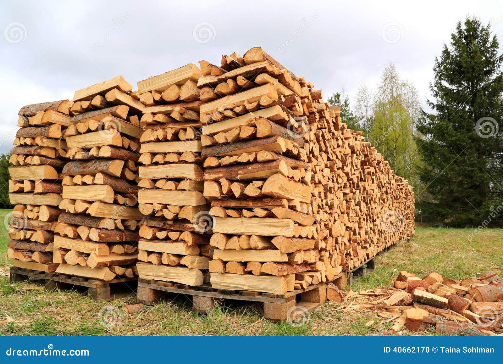 chopped and stacked firewood on a field