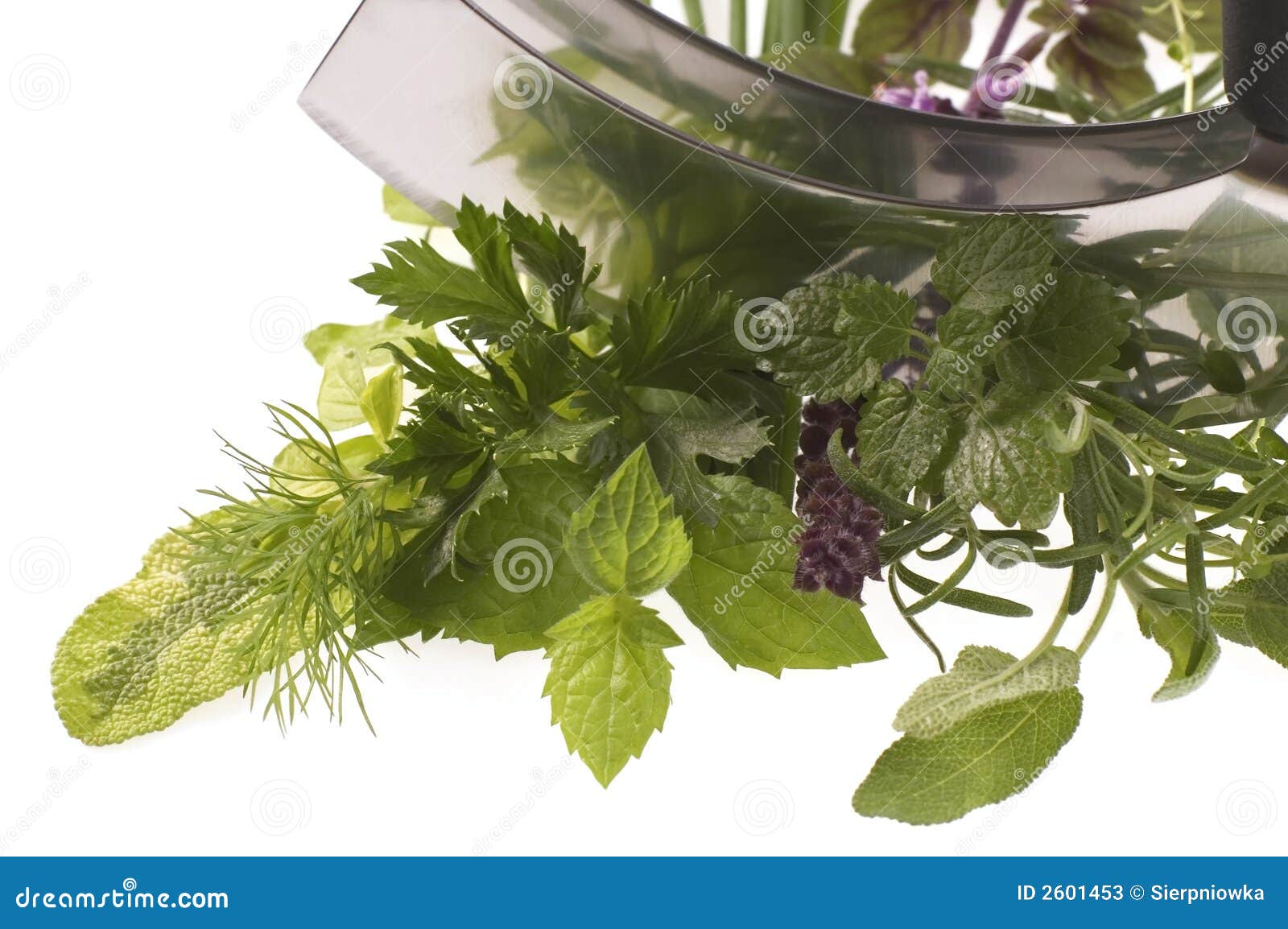 Chopping Fresh Herbs. Picture Image 2601453