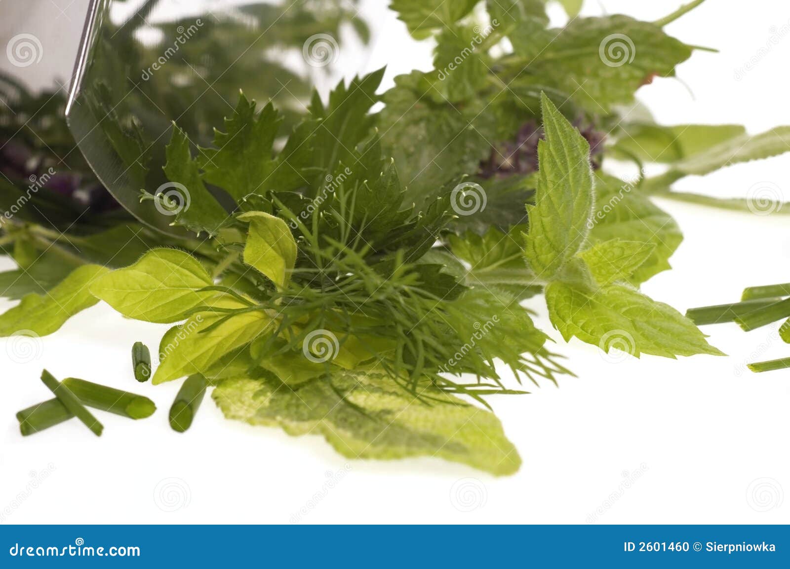 Chopping fresh herbs. stock photo. Image of fresh, grow 2601460