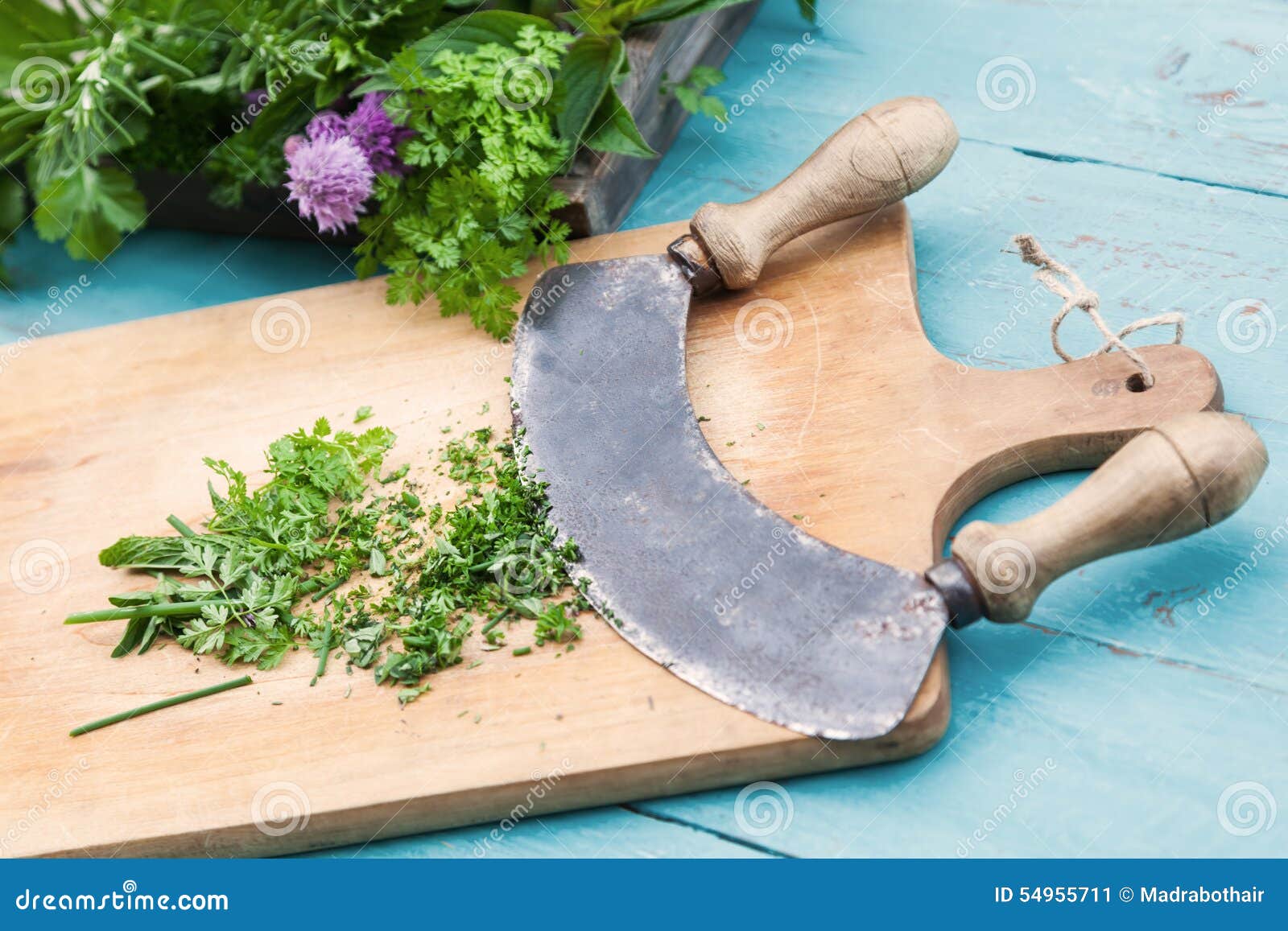 Chopping herbs stock image. Image of food, chopping, curved 54955711