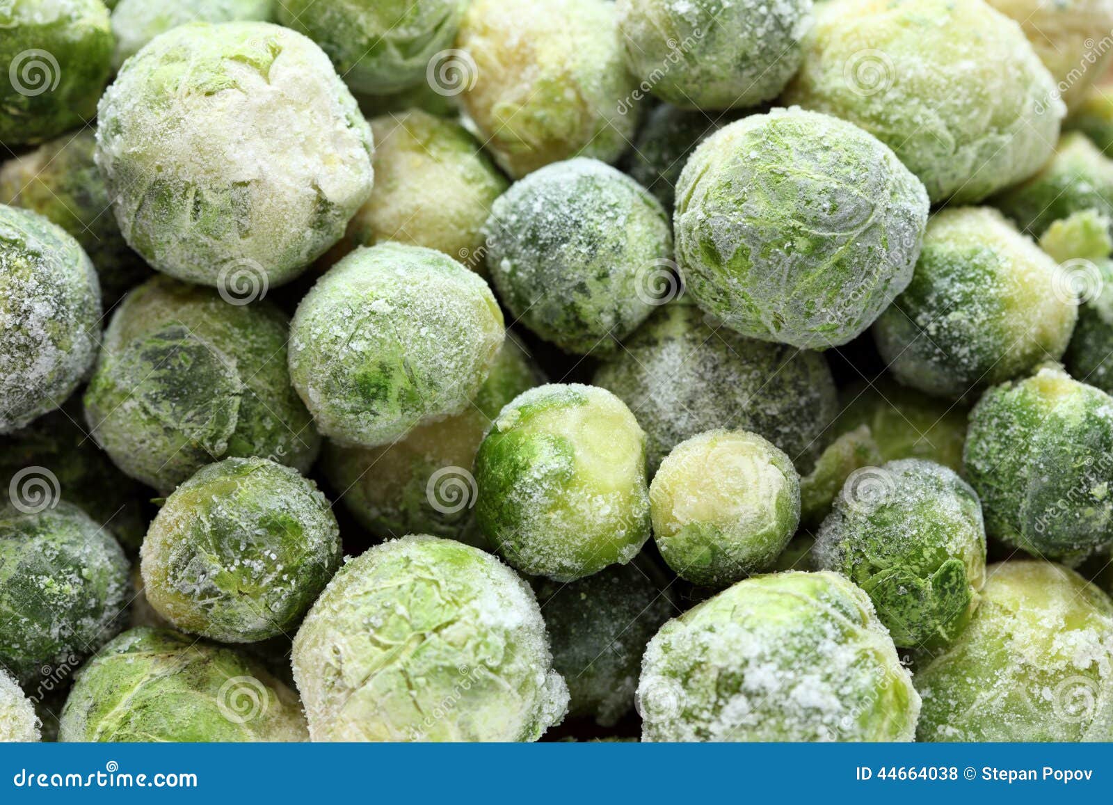 Choux De Bruxelles Surgeles Photo Stock Image Du Surgeles Choux 44664038