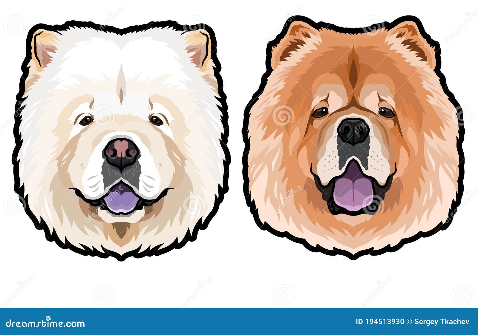 Chow Chow Dog Portrait Vector Illustration Stock Vector Illustration