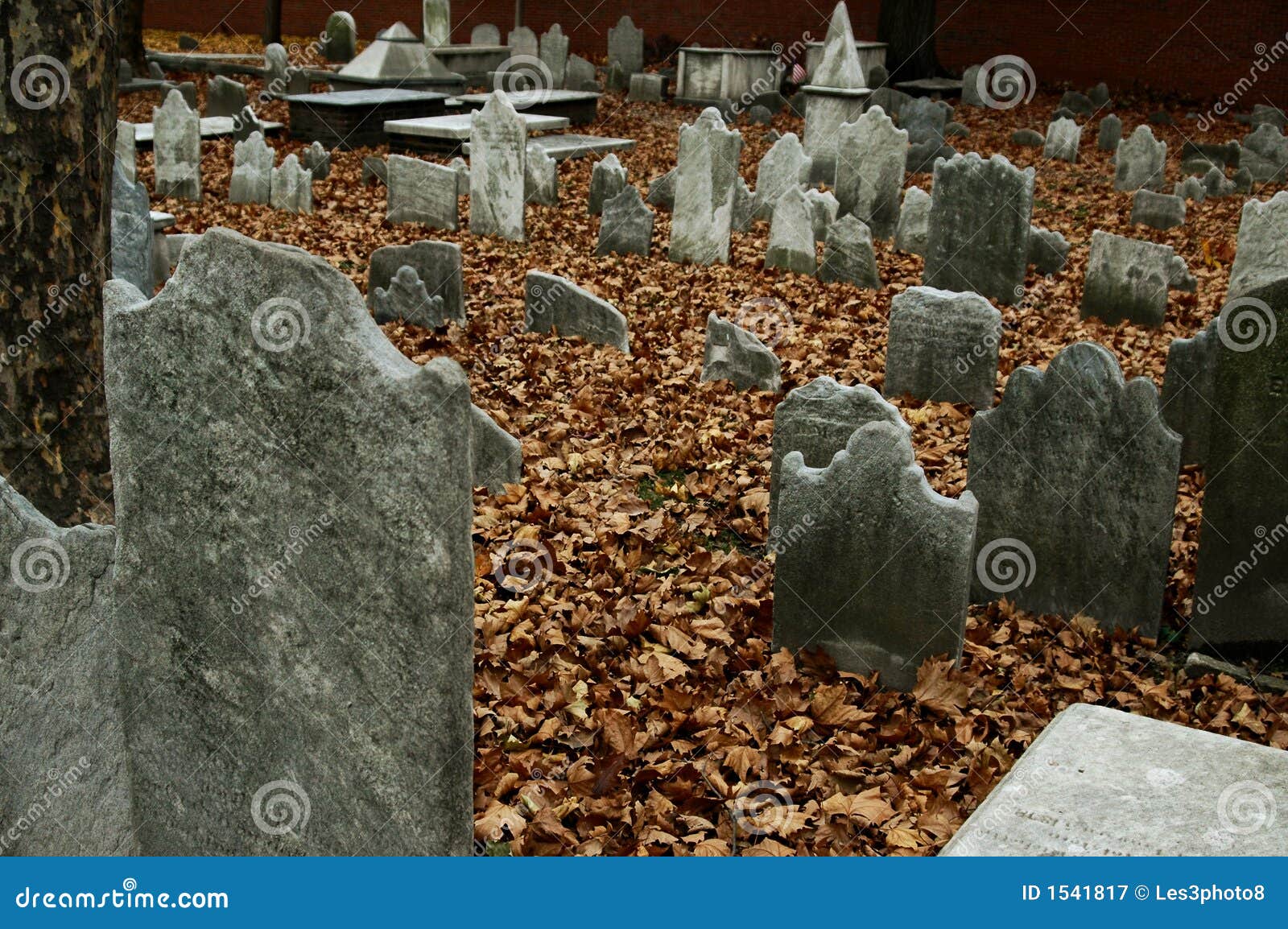 christ church burial ground