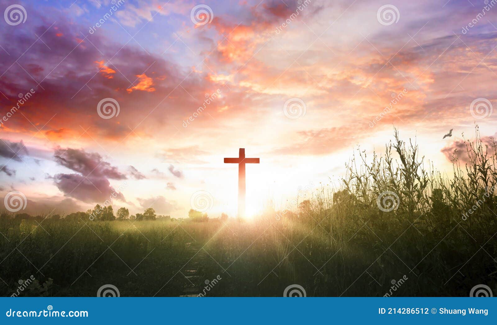 Christ Jesus Concept: Cross in the Morning at Sunrise Stock Photo ...