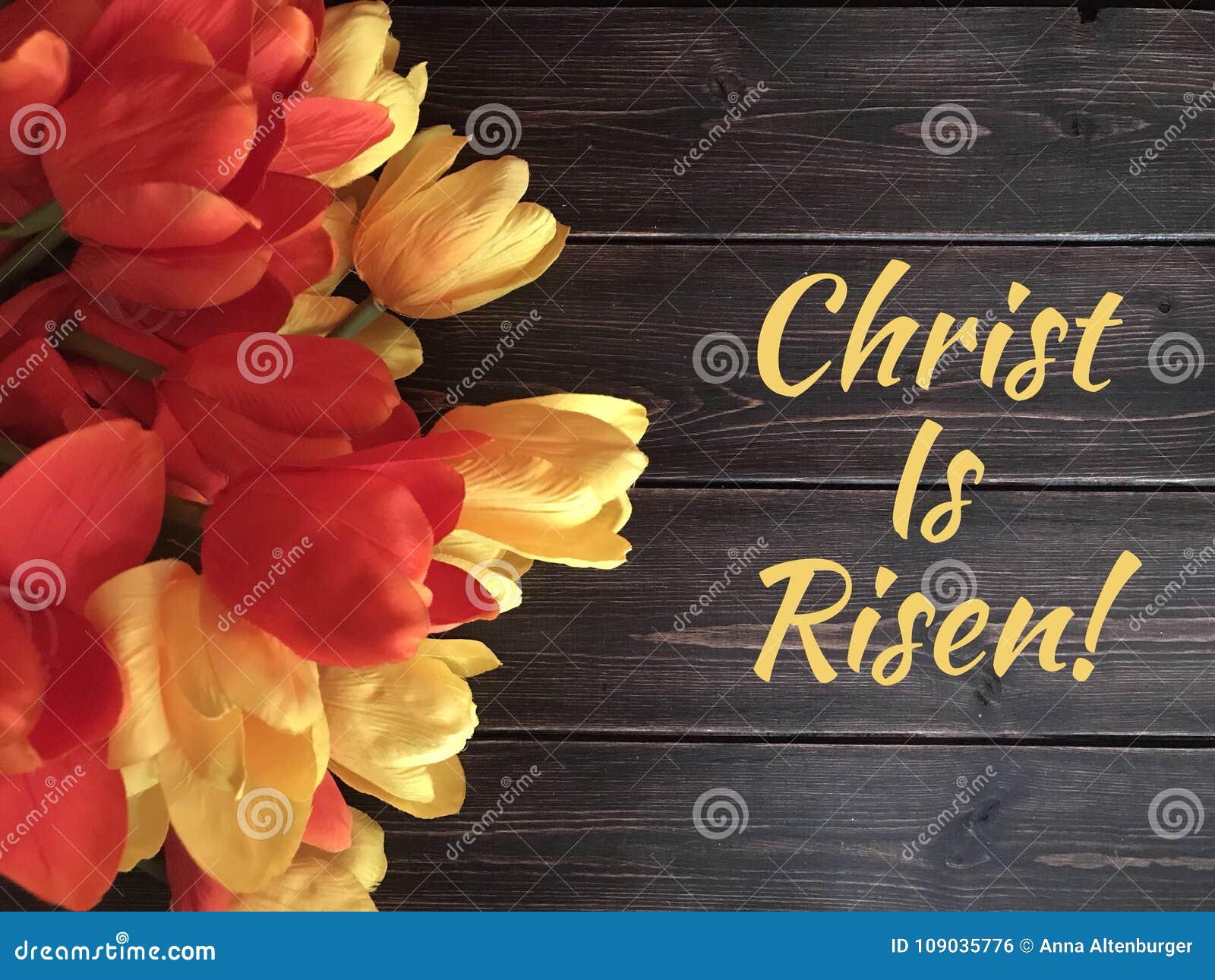 Christ is Risen text with red and yellow tulips.