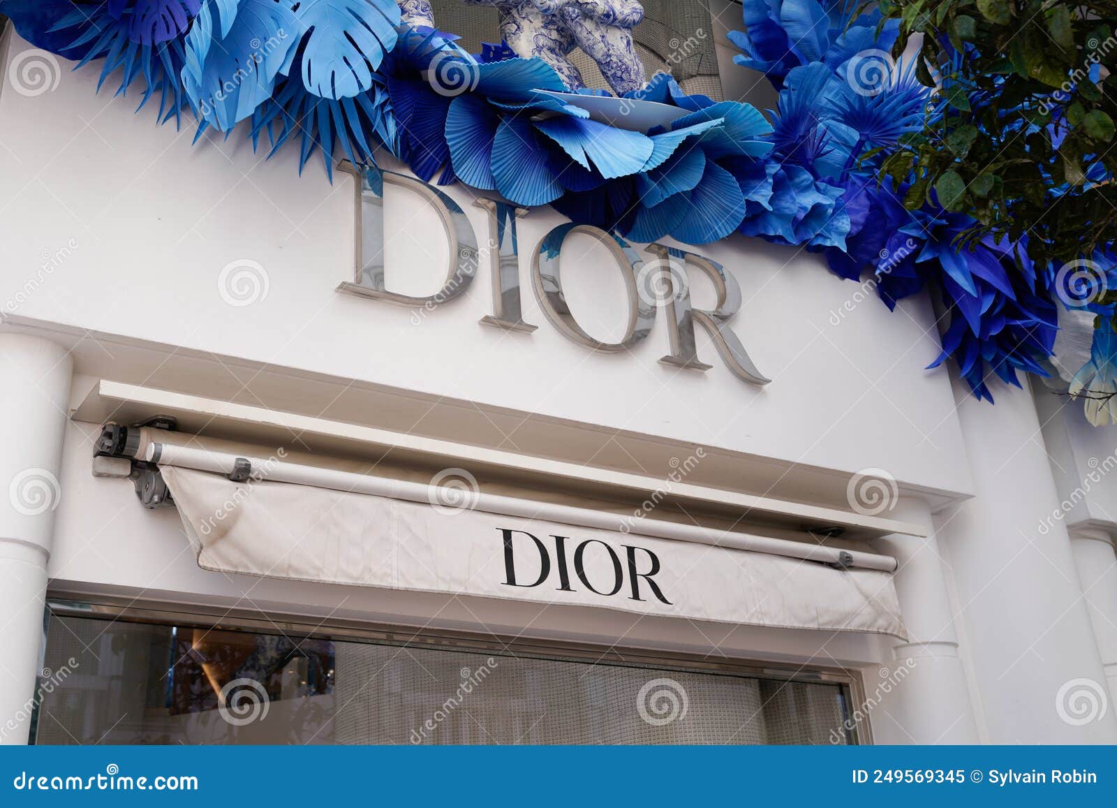 Dior logo  histoire signification et évolution symbole