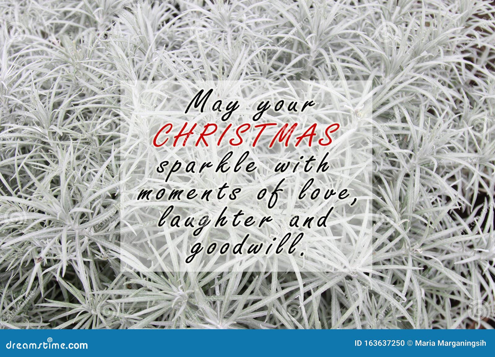 inspirational quote - may your christmas sparkle of love, laughter and goodwill.