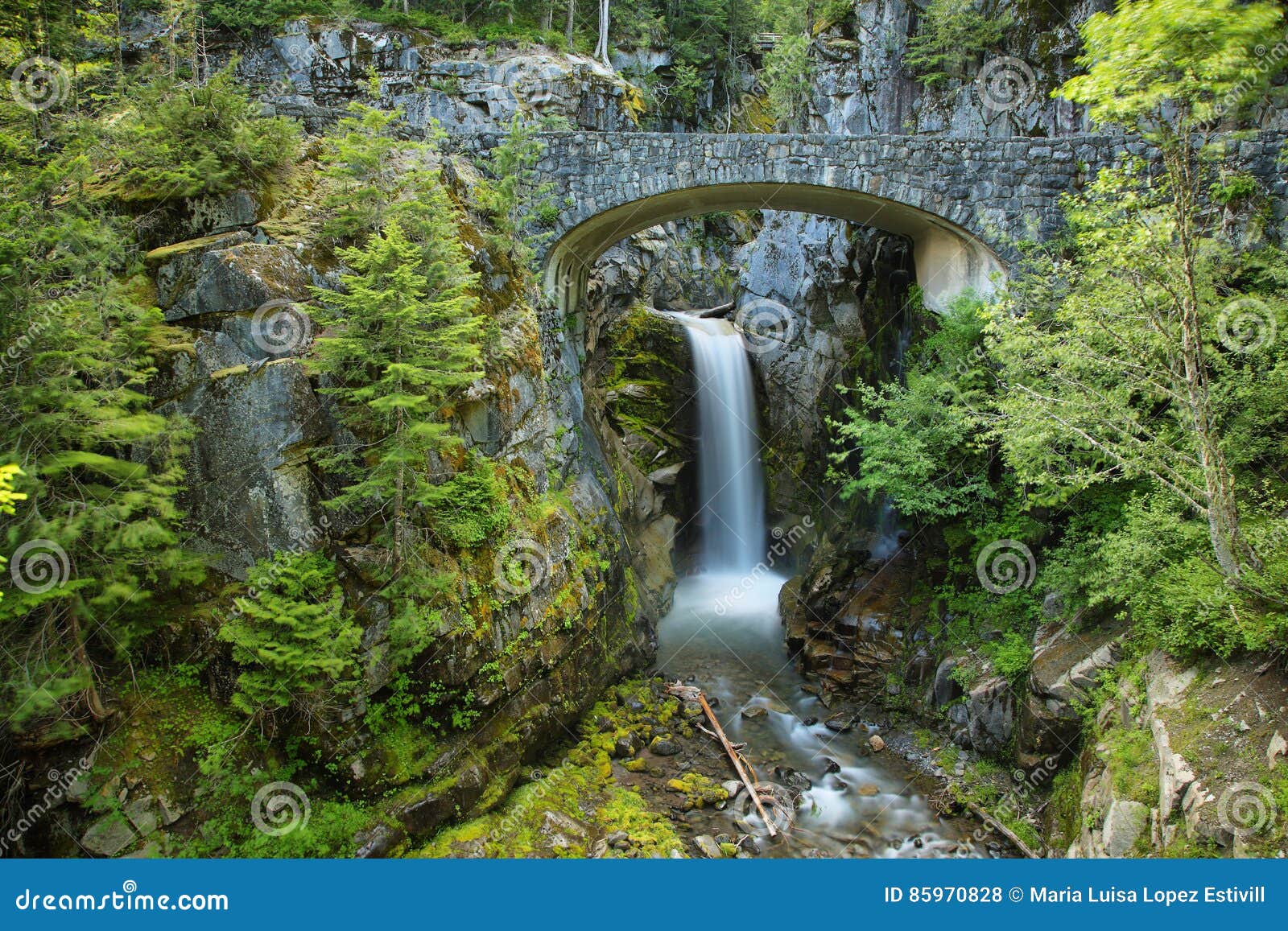 christine falls by benjamin black christine falls by benjamin black