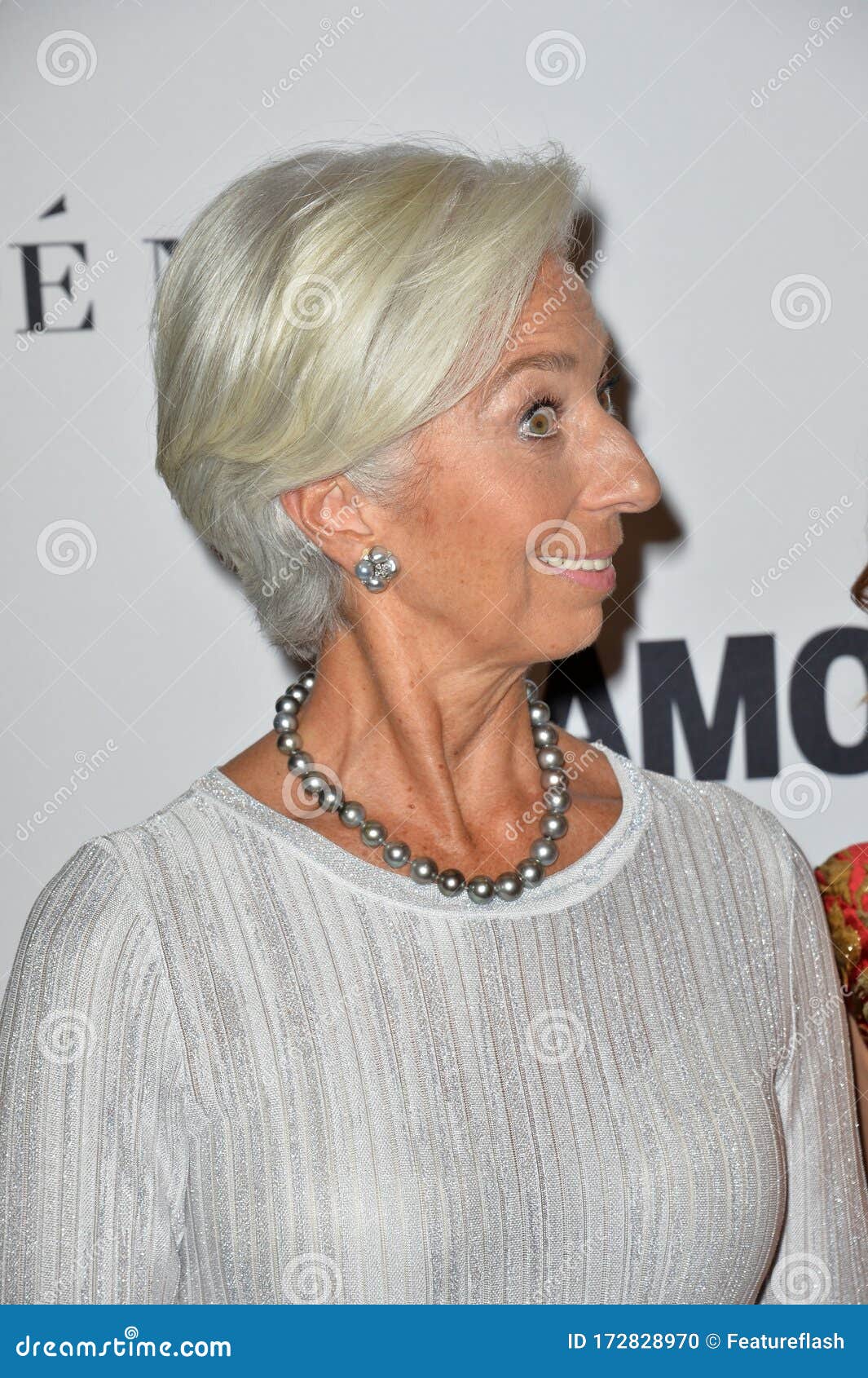 Christine Lagarde Editorial Image. Image Of Fame, Awards - 172828970