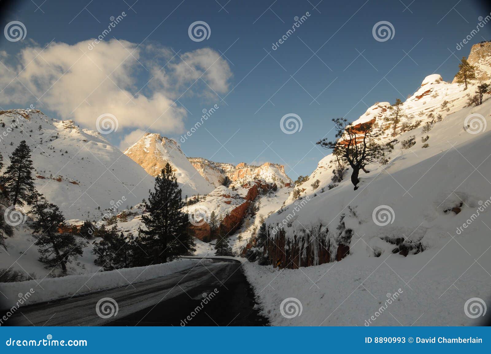 Christmas 2008 in Zion National Park 5 Stock Image Image of cold