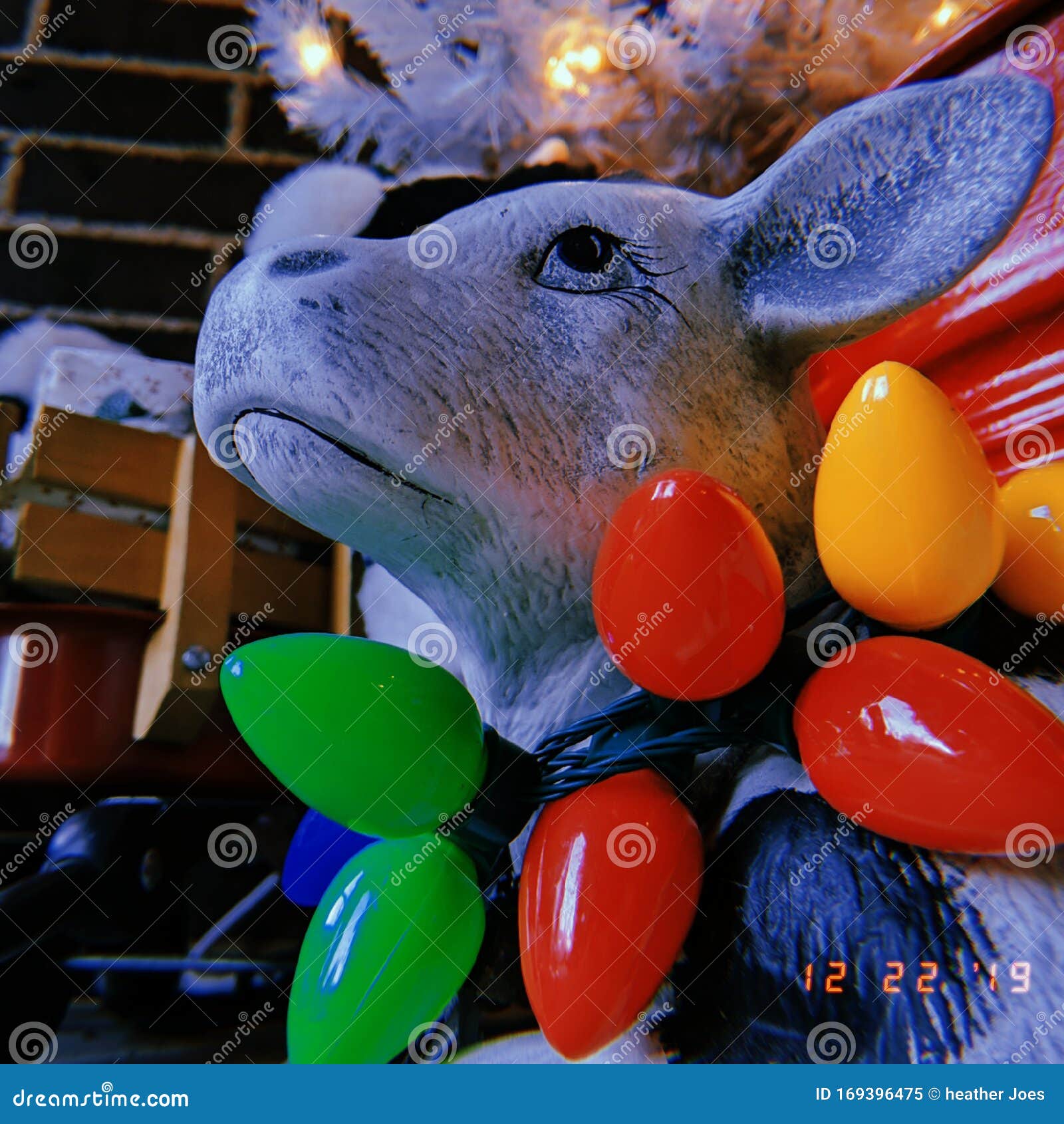 christmas asthetic lights cow picture