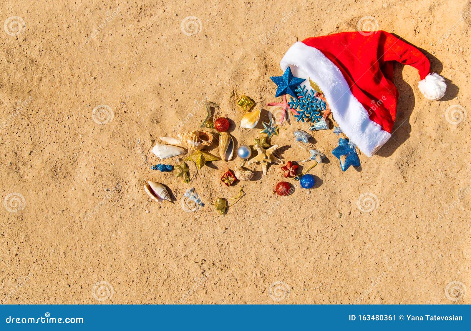 Christmas Background on the Beach with Shells on the Sand Stock Image