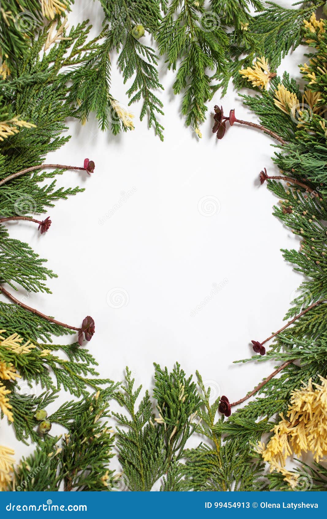 Christmas Background Border With Evergreen Fir Tree Stock Image - Image