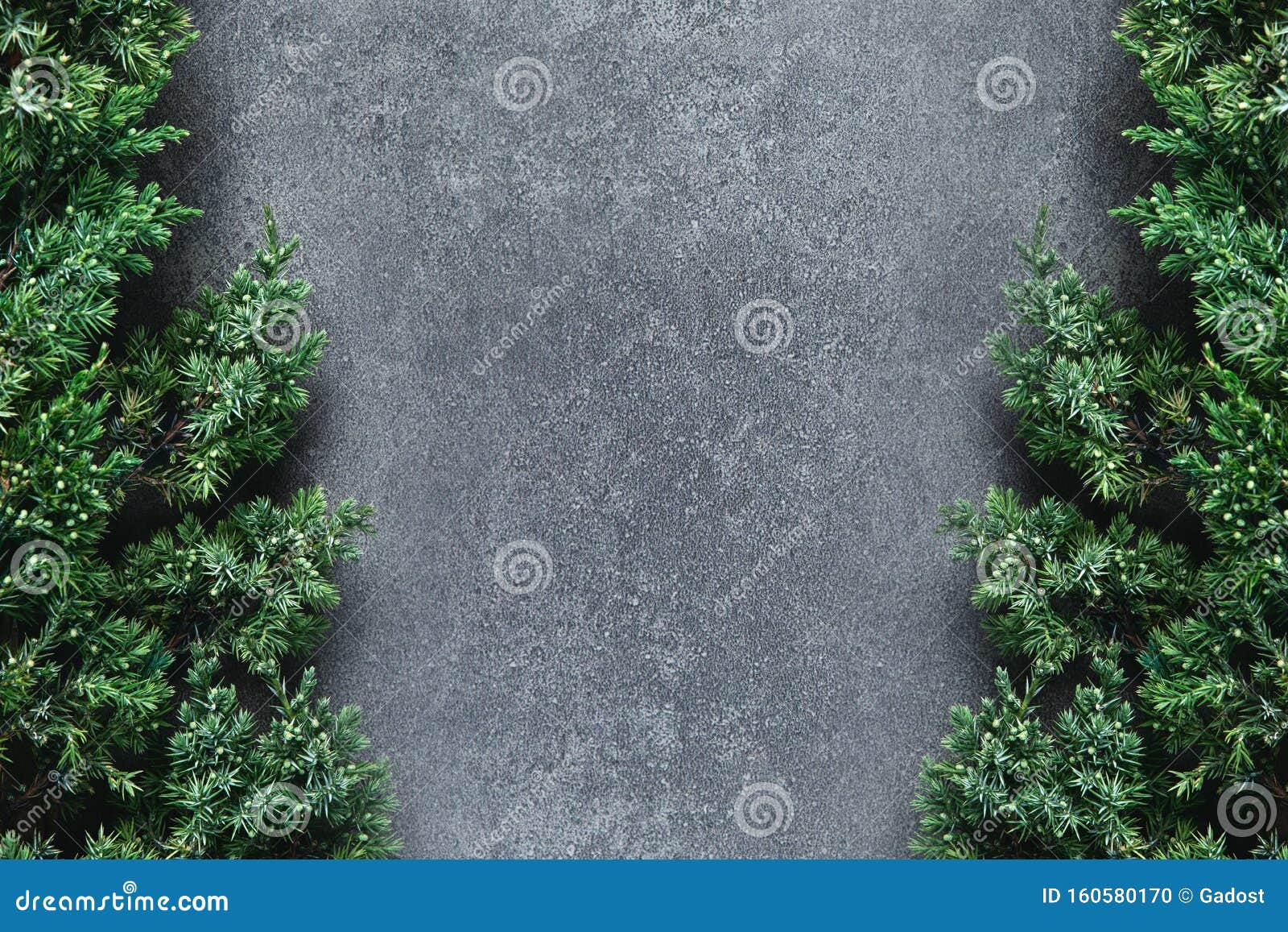 Christmas Background with Borders of Fluffy Green Fir Branches on a