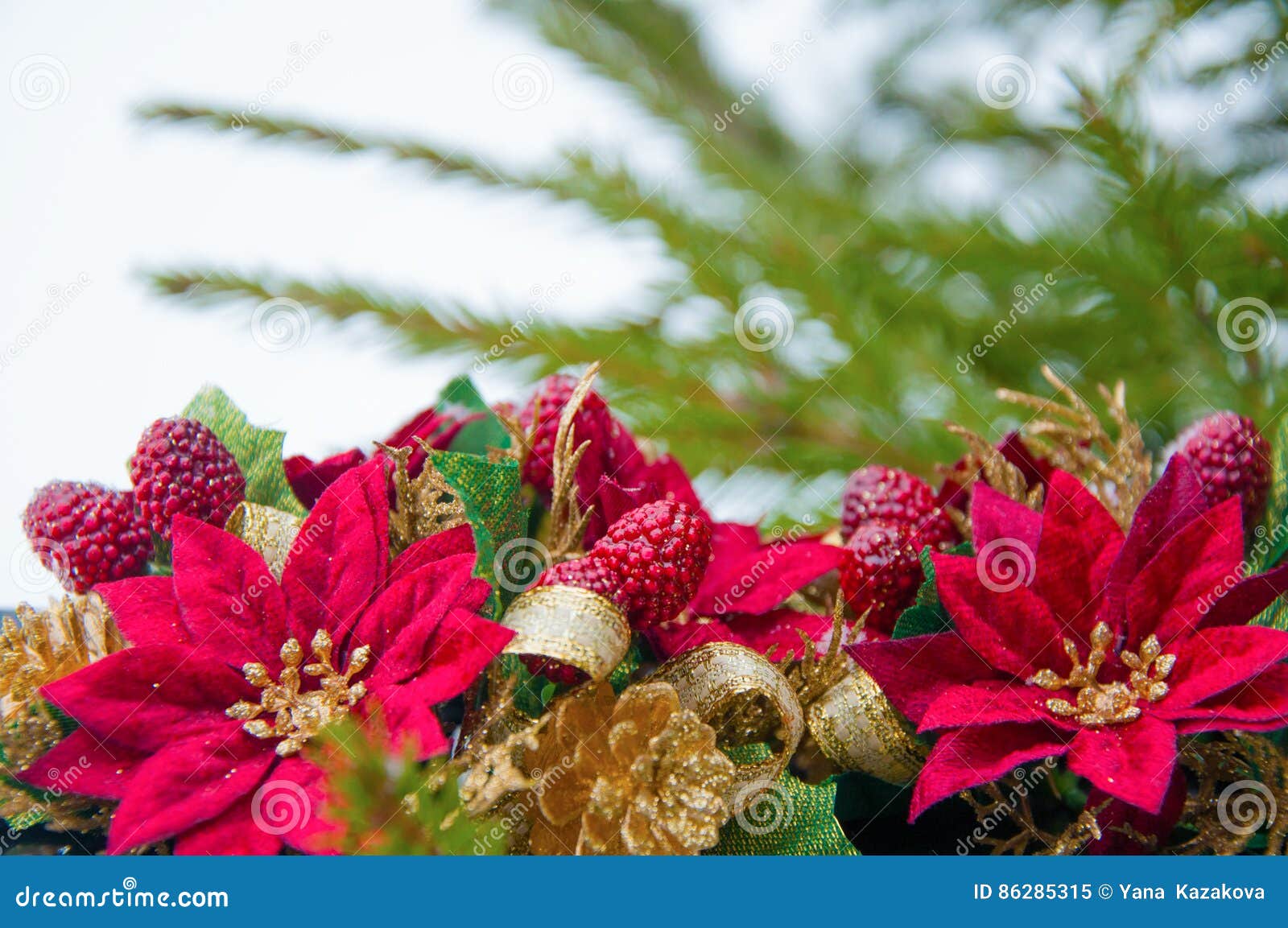 Christmas Background with Fir Branches, Holly, Gold Tapes and ...