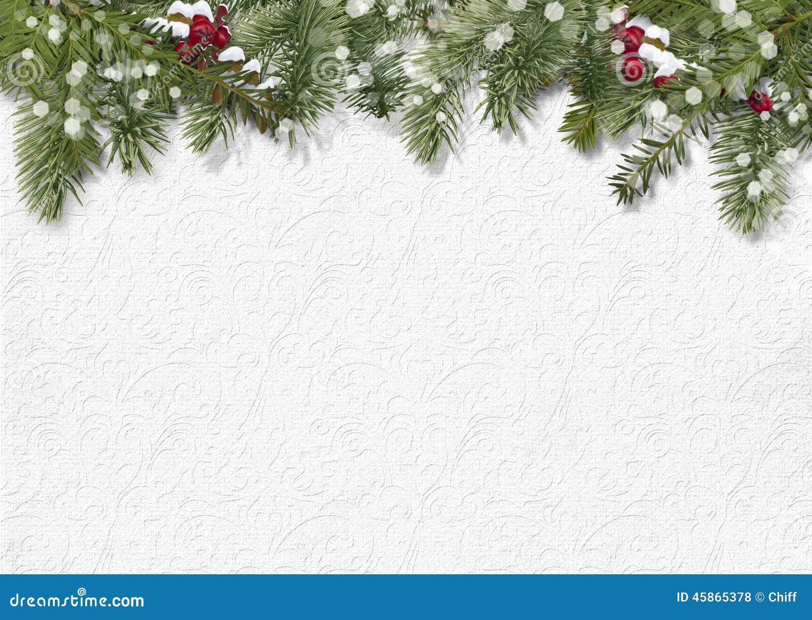 christmas background with holly, firtree