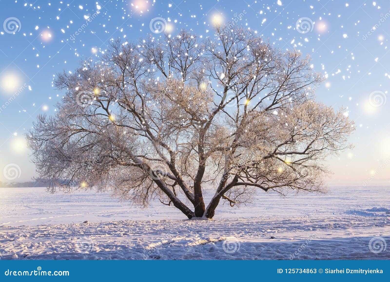 Christmas Background Winter Nature Landscape With Glowing Snowflakes