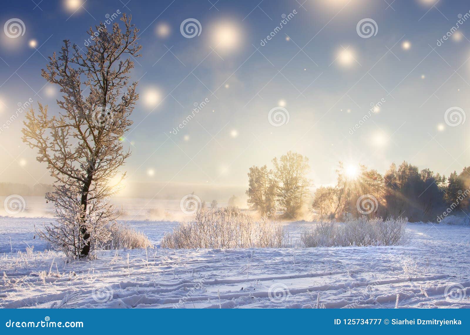 Christmas Background. Winter Nature Landscape on Sunny Morning with Magic Glowing Snowflakes. Shine of Lights on Stock Image - Image of snowfall, blue: