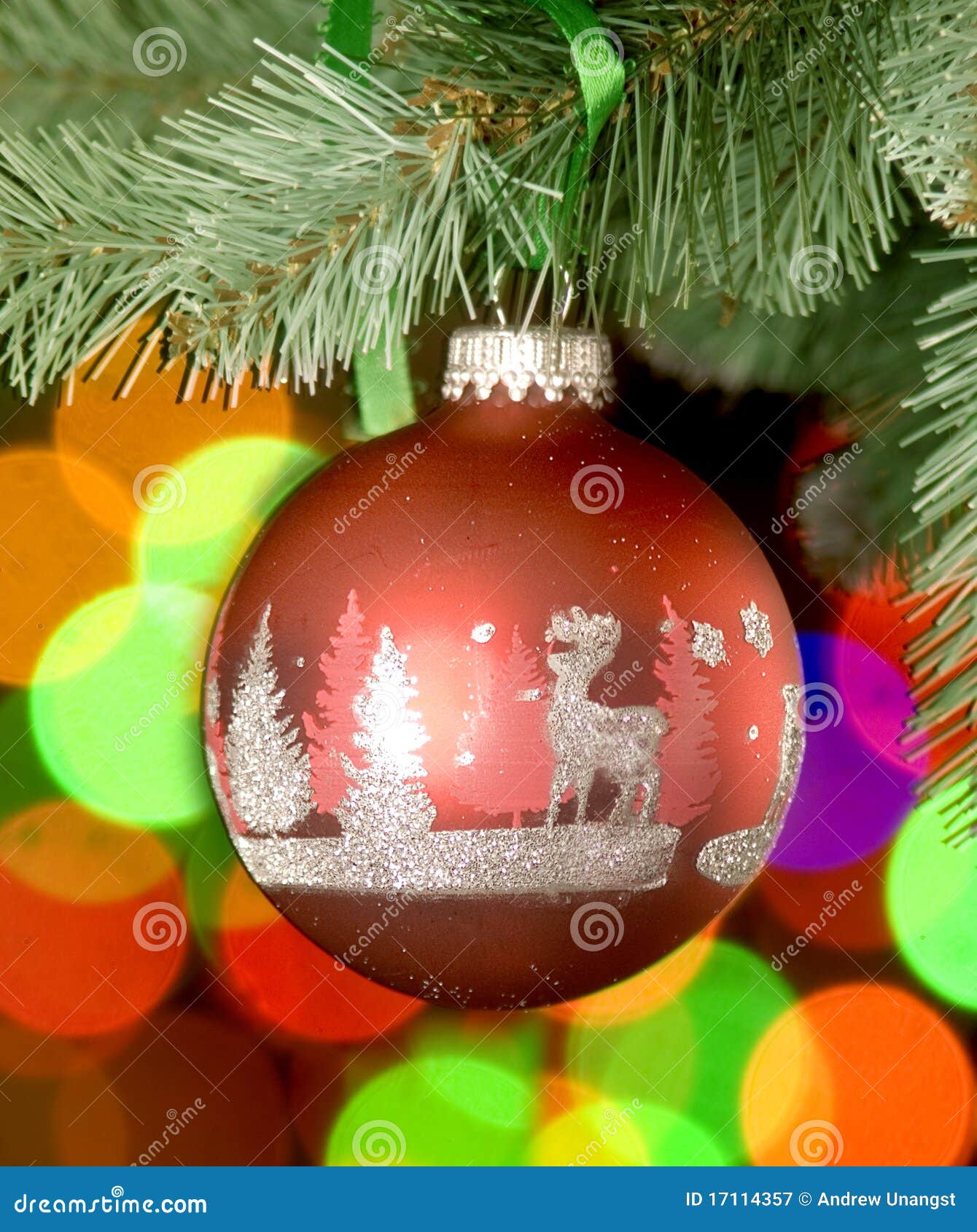Christmas ball on tree stock image. Image of christmas 17114357