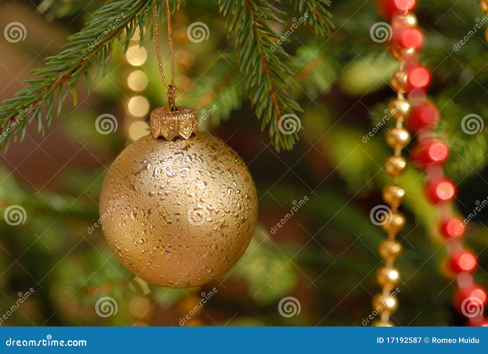 Christmas Balls on Christmas Tree Stock Image Image of santa
