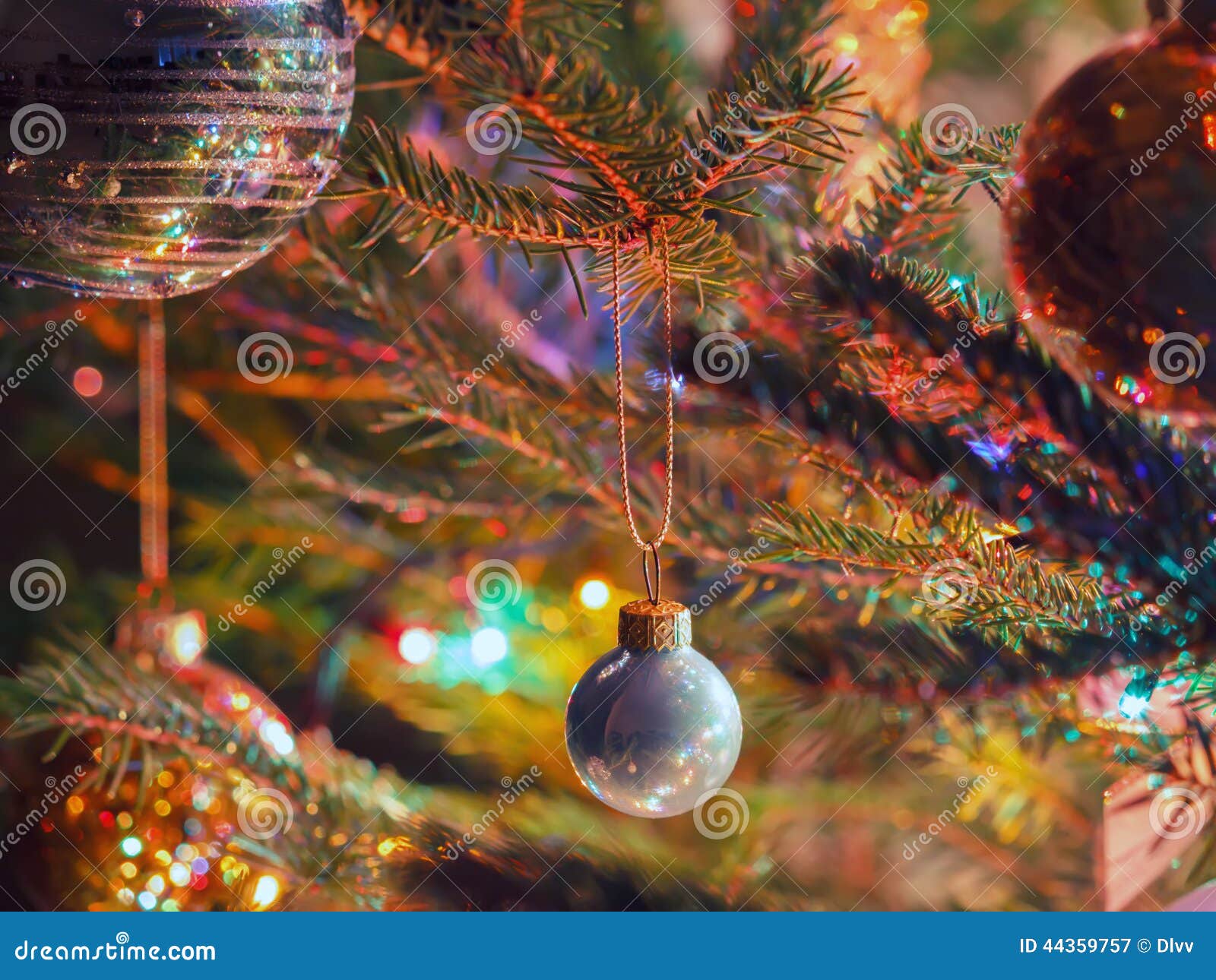 Christmas Bauble Hanging on a Spruce Branch Stock Image - Image of ...