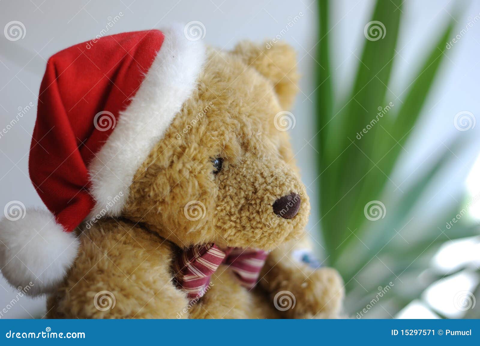 Christmas Bear stock image. Image of decoration, greetings 15297571
